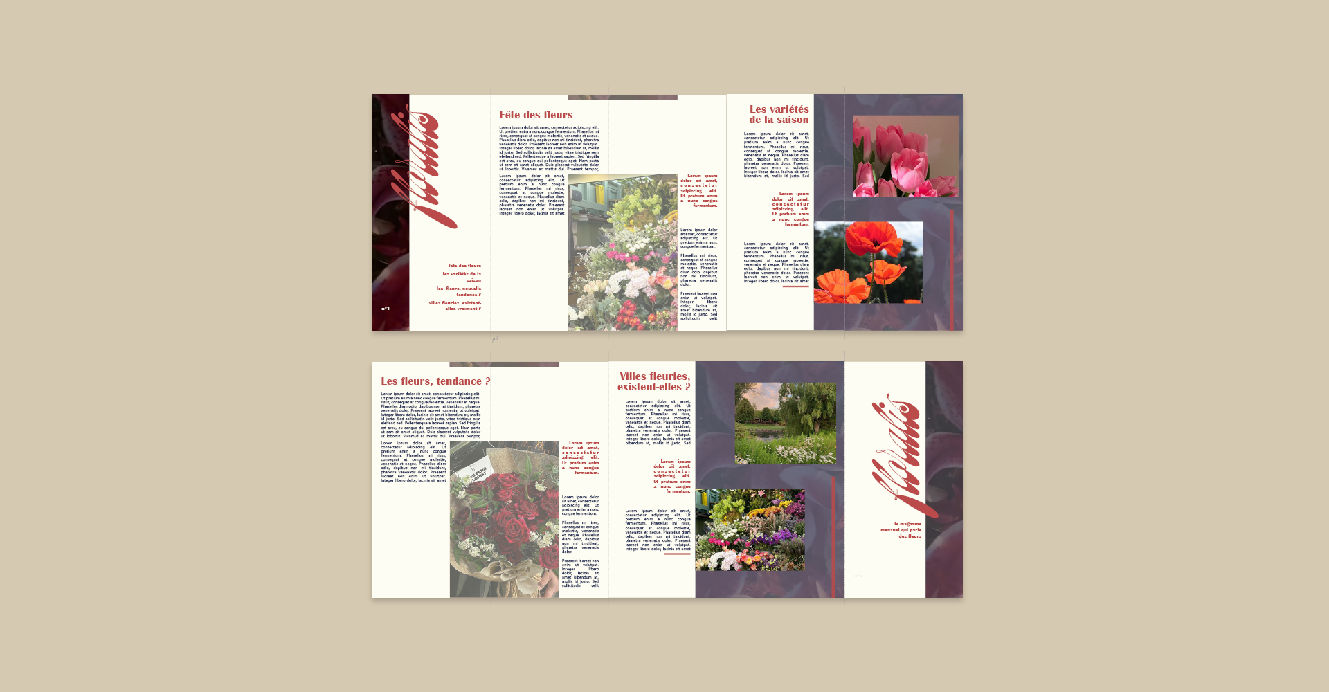 Flyer - mise en page dans InDesign